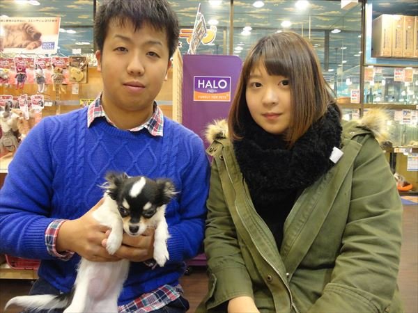 写真