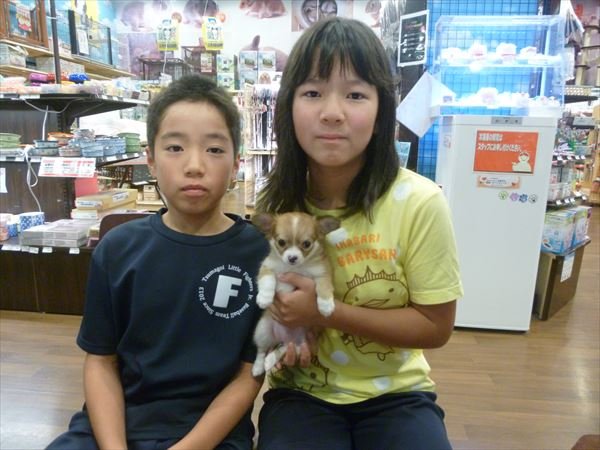 写真