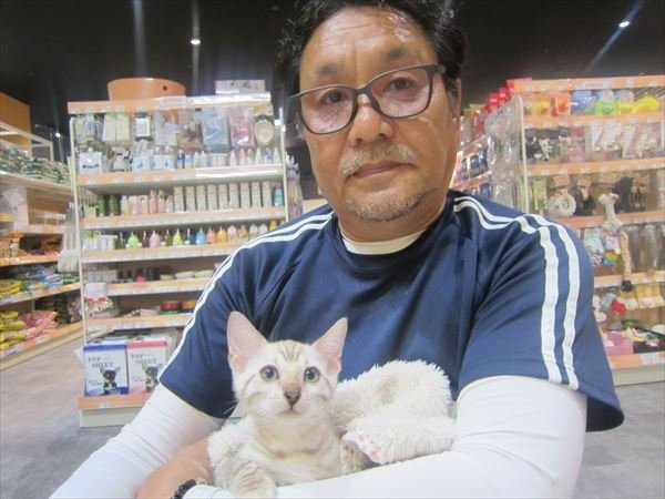 写真