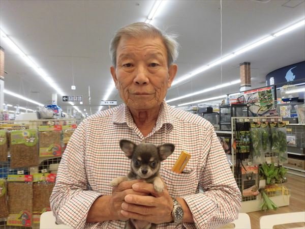 写真