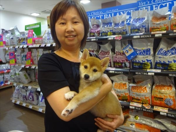写真