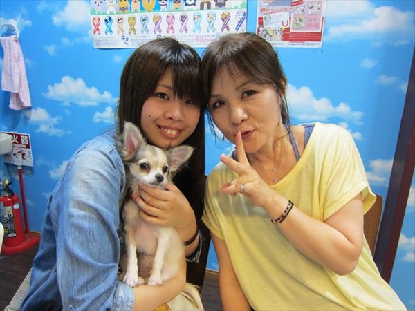 写真