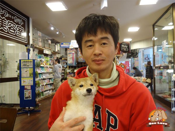 写真