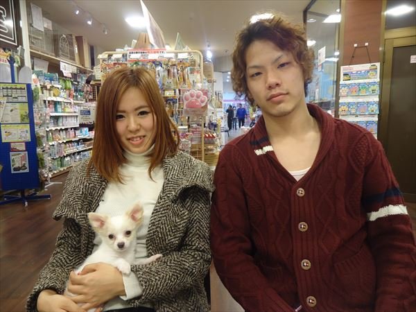 写真