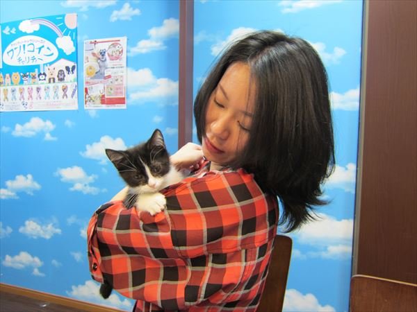 写真