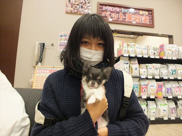 写真
