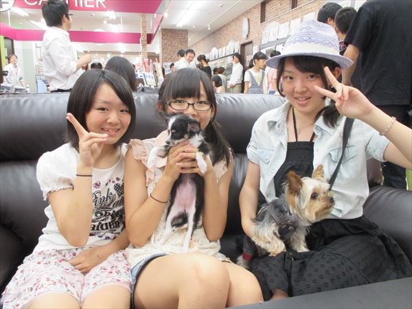 写真