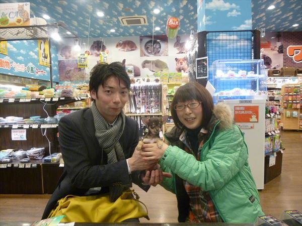 写真