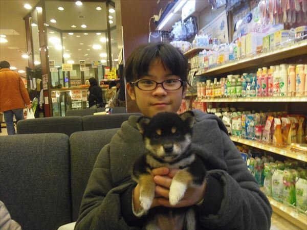 写真