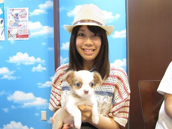写真