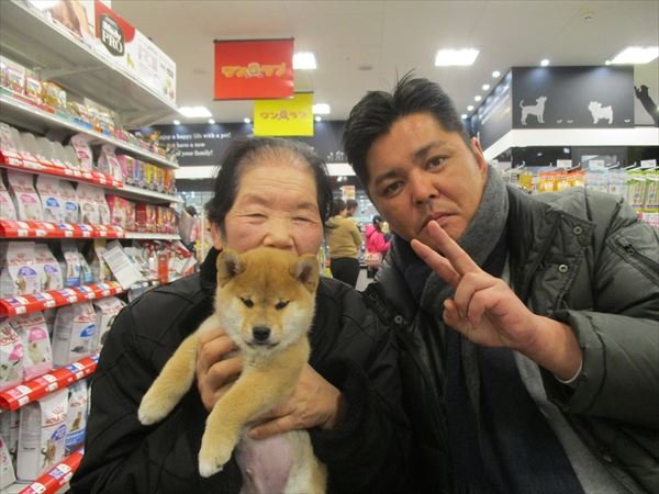 写真