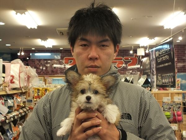 写真