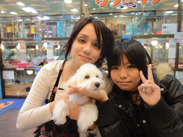 写真
