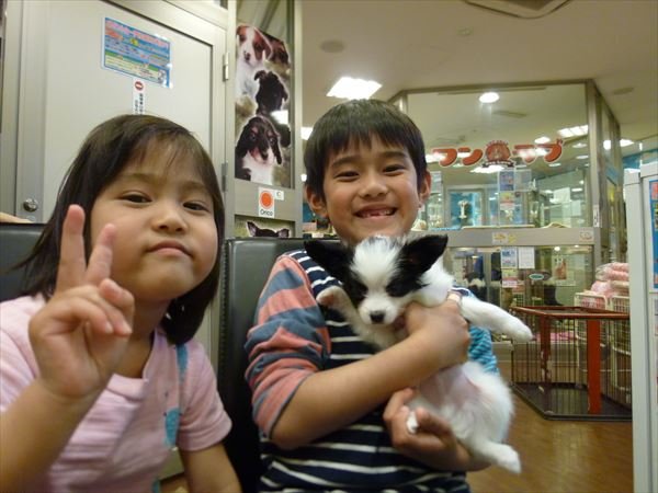写真