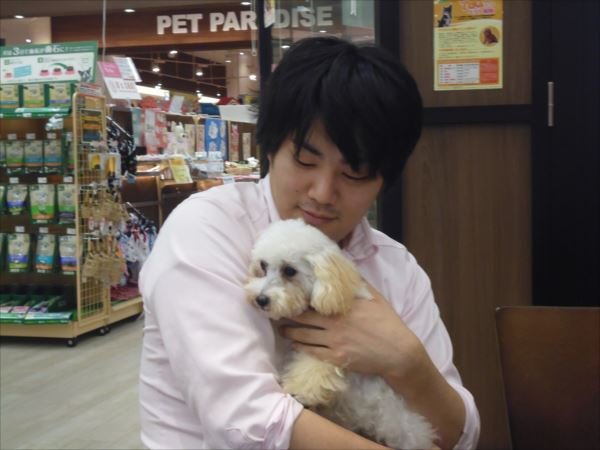 写真