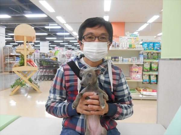 写真