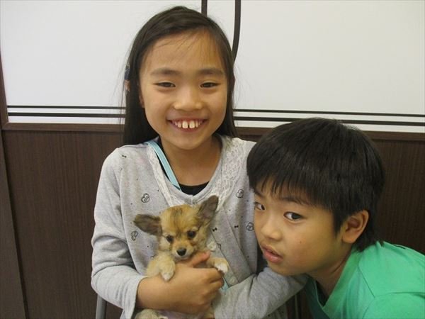 写真
