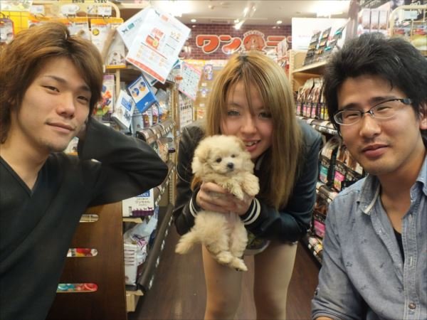 写真