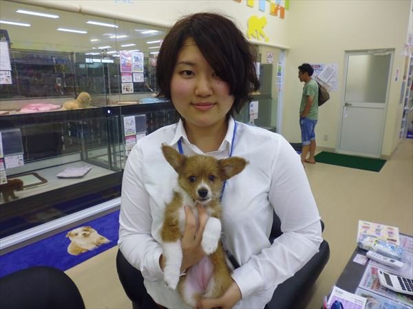写真