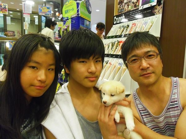 写真