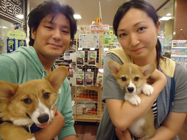 写真