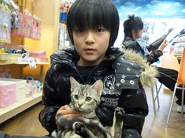 写真