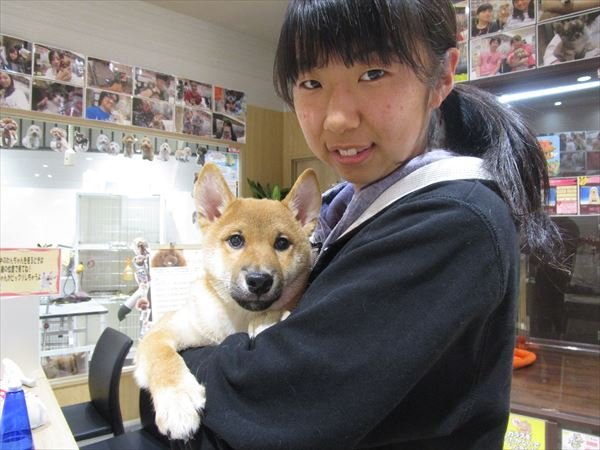 写真