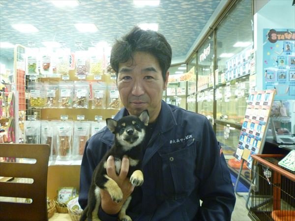 写真