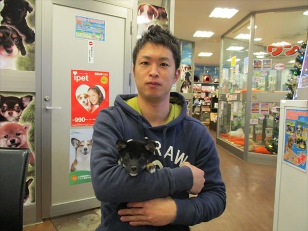 写真