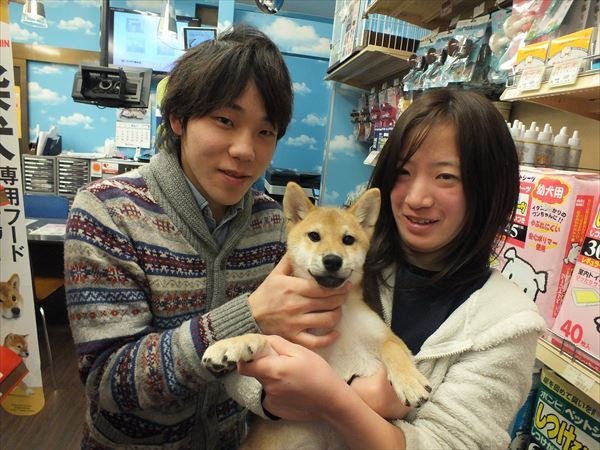 写真