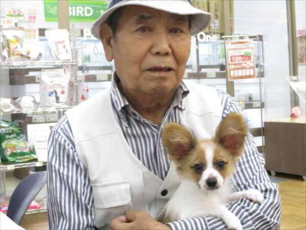 写真