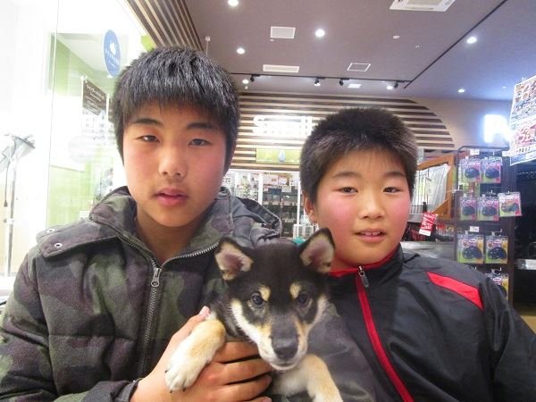 写真