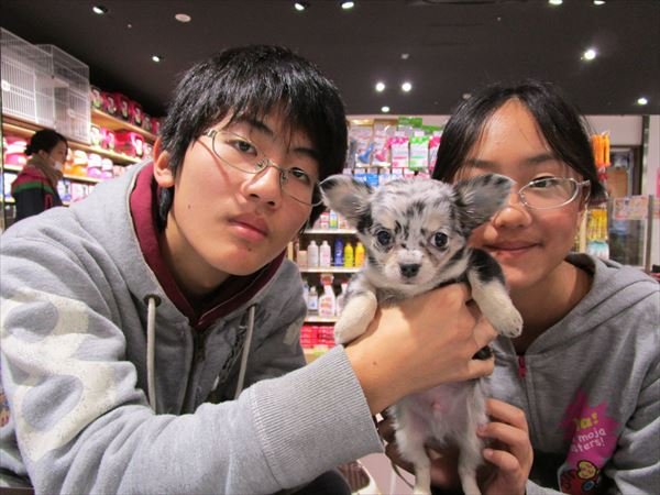 写真