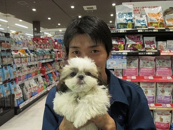 写真