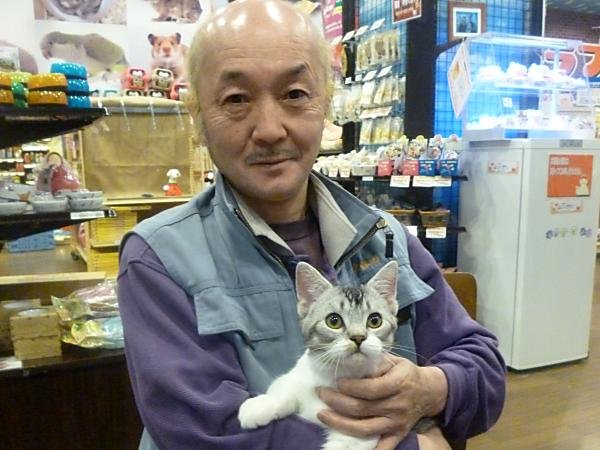 写真