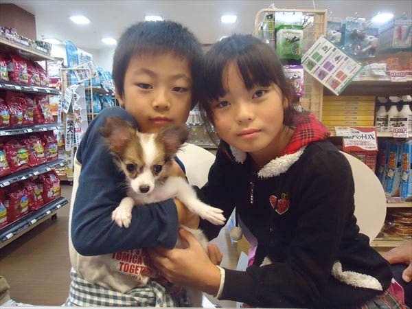 写真