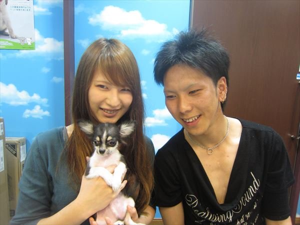 写真