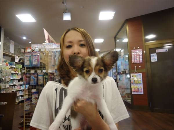 写真