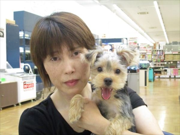 写真