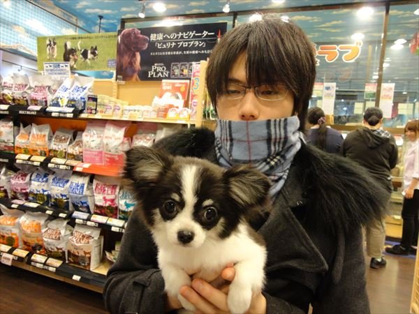 写真