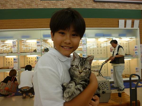 写真
