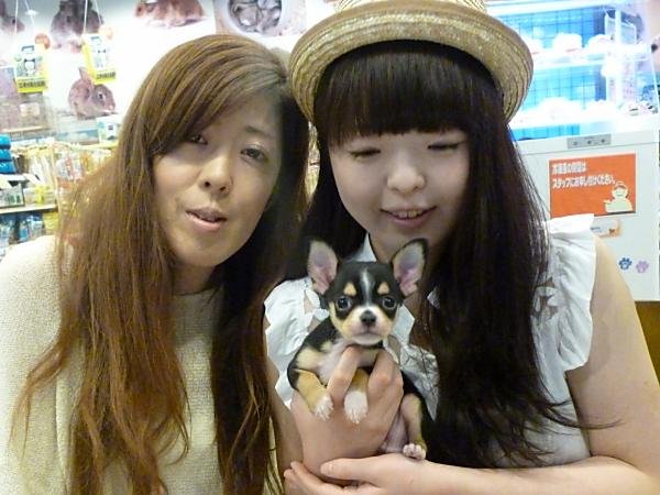 写真