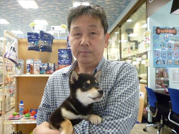 写真