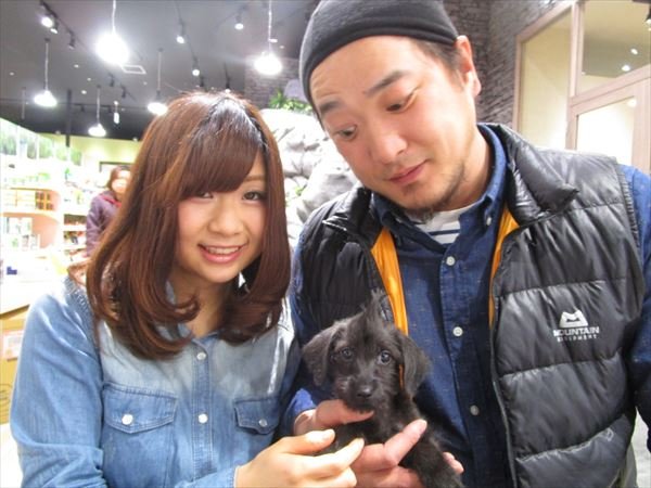 写真