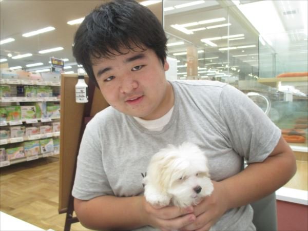 写真