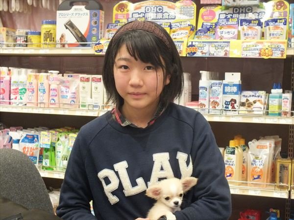 写真