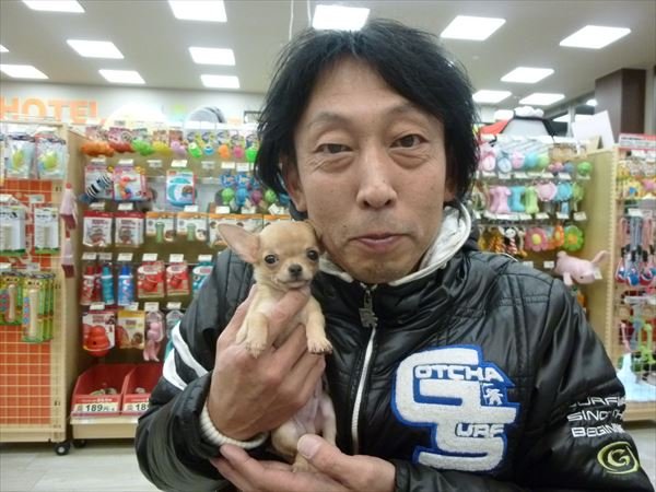 写真