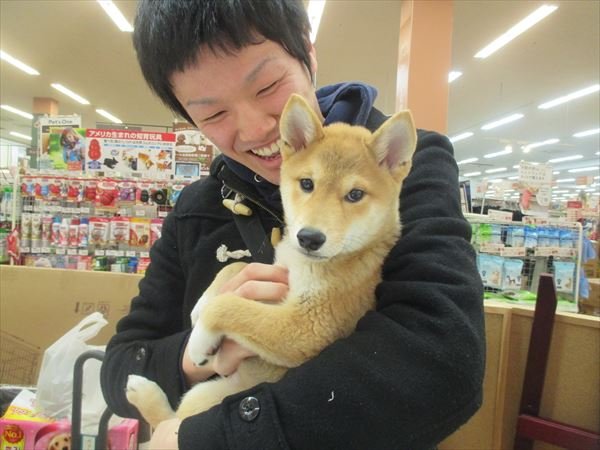 写真