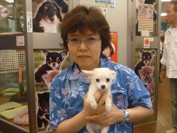 写真