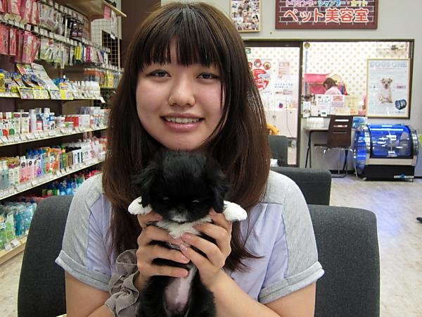 写真